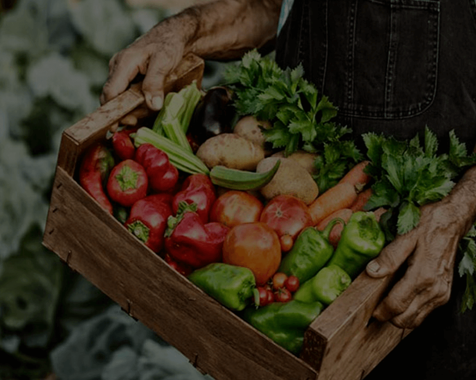 Fortalecen el sistema de producción alimentaria local y la gastronomía sostenible